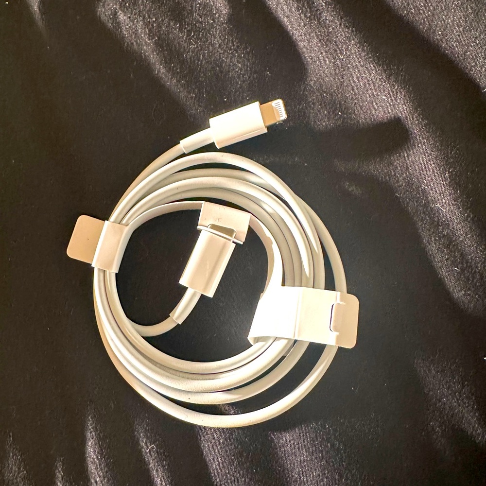 Original iPhone fast charger